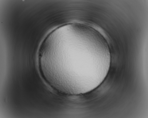 X0000092101048200710031209