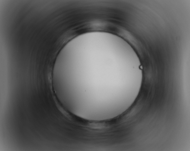 X0000092101049200710031209