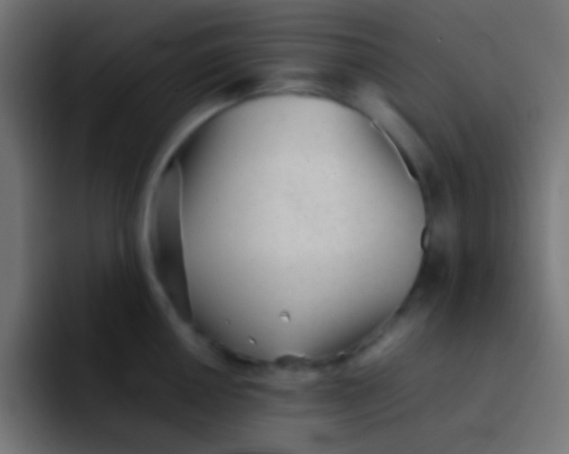 X0000092101050200710031209