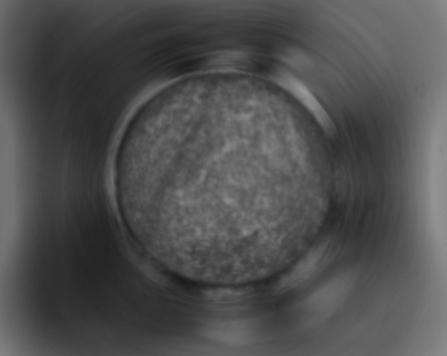 X0000092101051200710031209