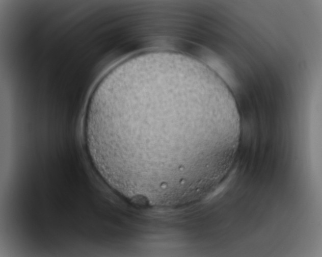 X0000092101052200710031209