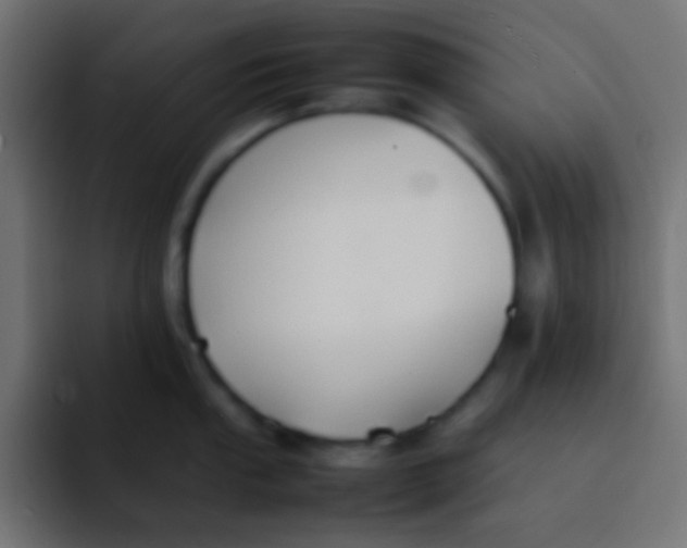 X0000092101053200710031209