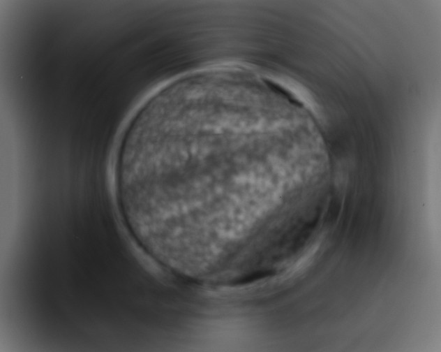 X0000092101054200710031209