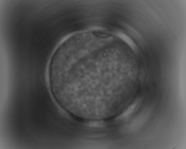 X0000092101055200710031209