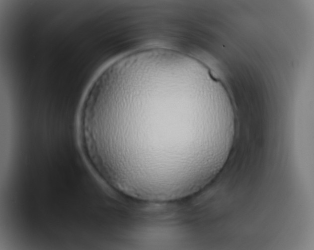 X0000092101056200710031209