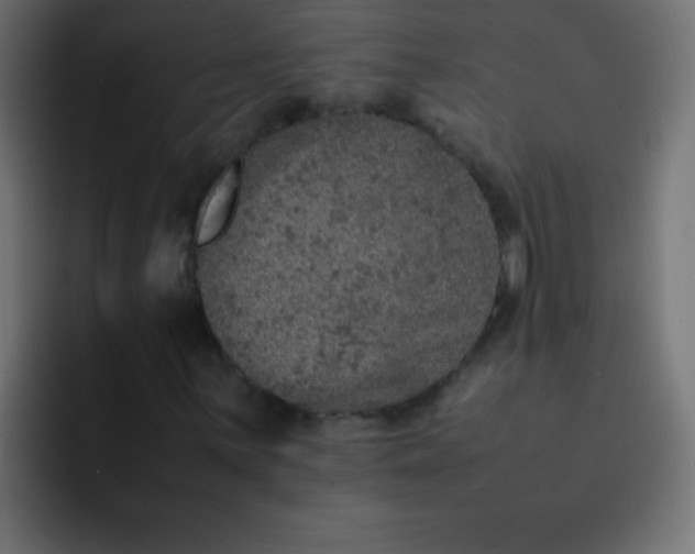 X0000092101059200710031208