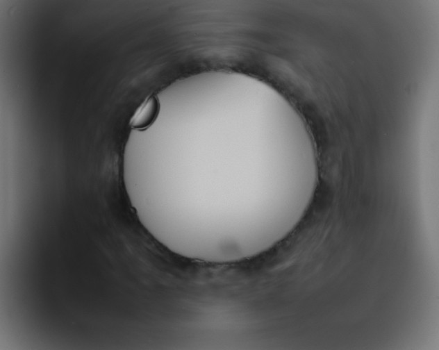 X0000092101061200710031208