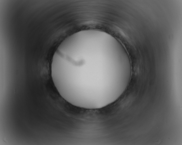 X0000092101062200710031208