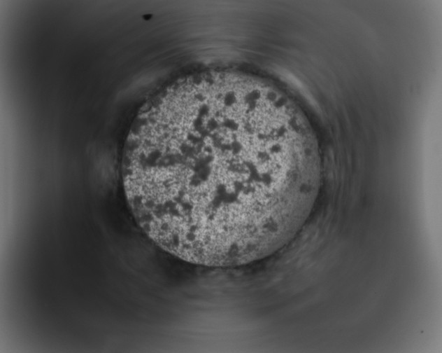 X0000092101063200710031208