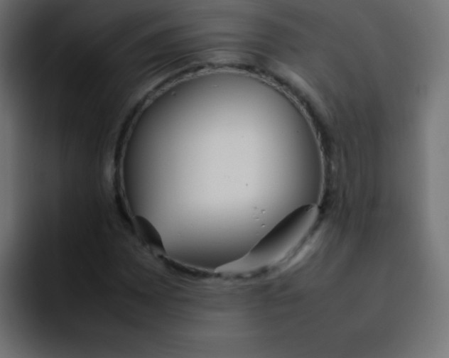 X0000092101065200710031208