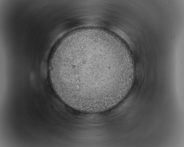 X0000092101067200710031208