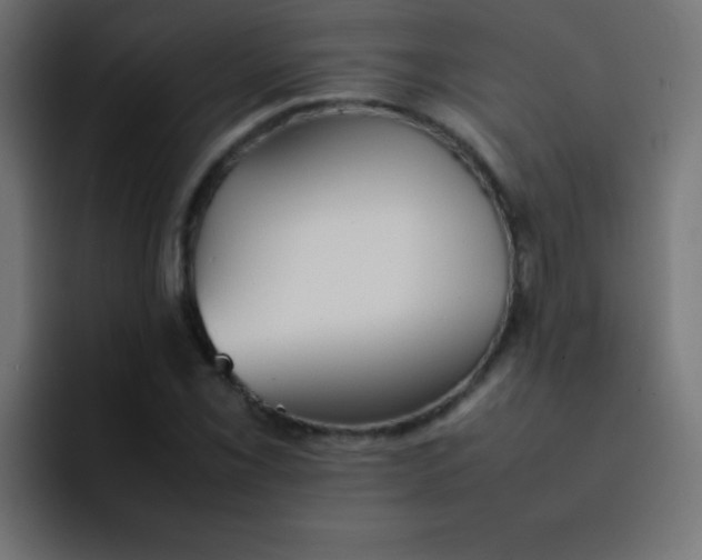 X0000092101069200710031208