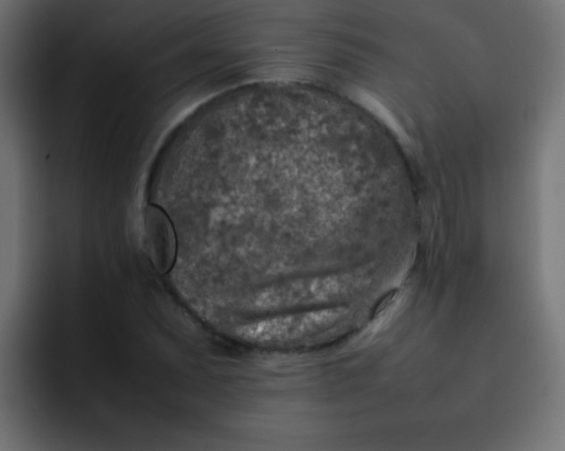 X0000092101071200710031208