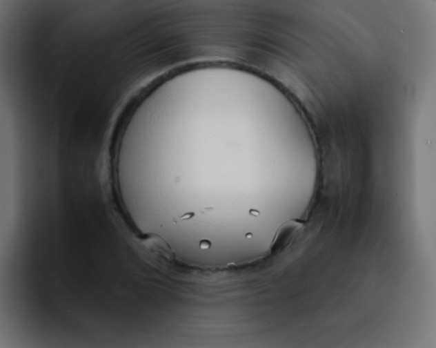 X0000092101072200710031208