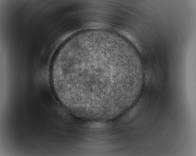 X0000092101074200710031208