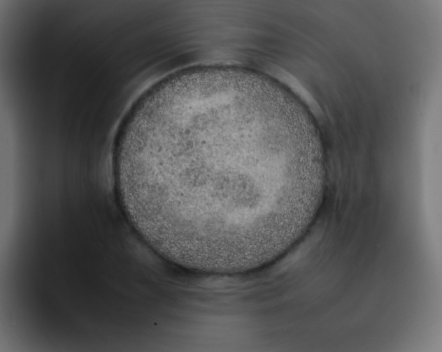 X0000092101075200710031208