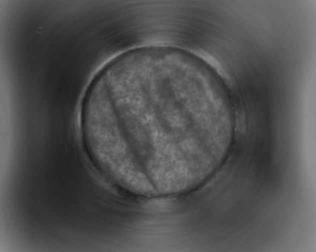 X0000092101078200710031208