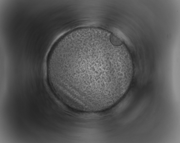 X0000092101079200710031208