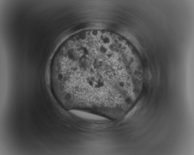 X0000092101083200710031208