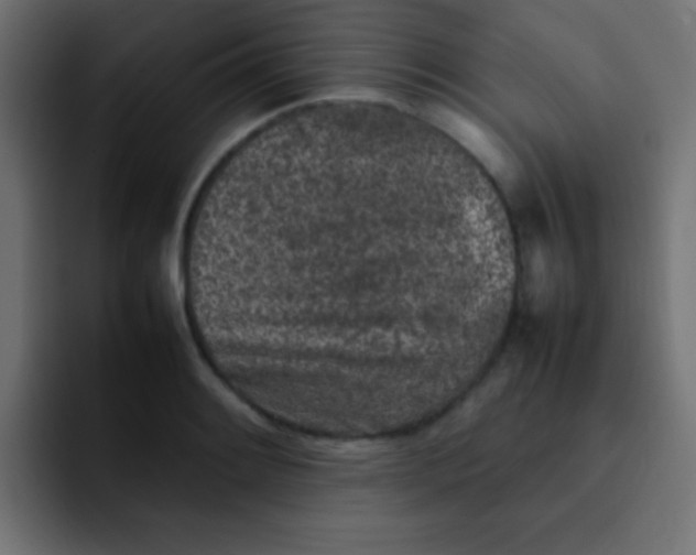 X0000092101084200710031208