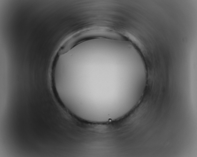 X0000092101085200710031208