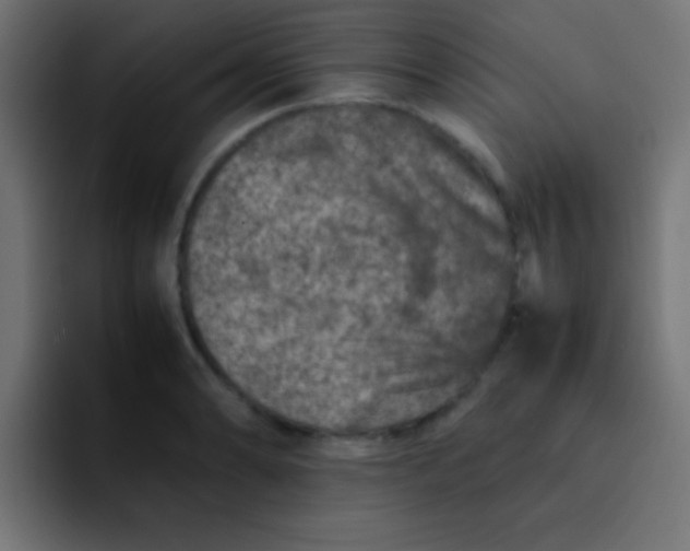 X0000092101086200710031208