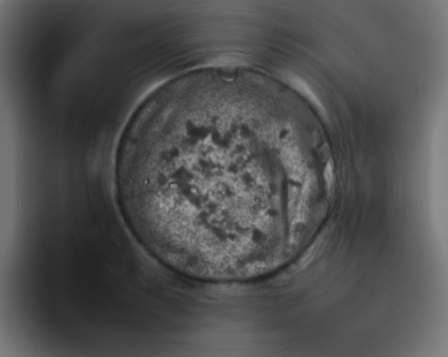 X0000092101087200710031208