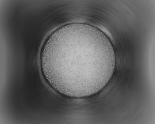 X0000092101088200710031208