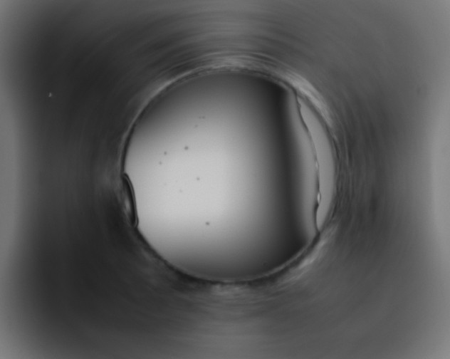 X0000092101089200710031208