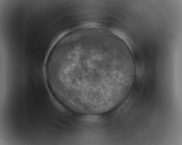 X0000092101090200710031208