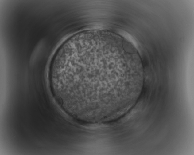 X0000092101091200710031208