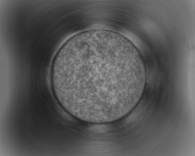 X0000092101094200710031208