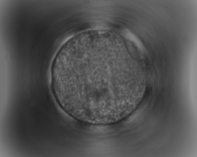 X0000092101095200710031208