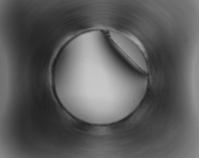 X0000092101096200710031208