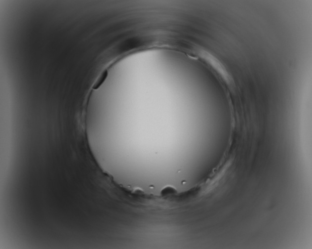 X0000092101097200710031208