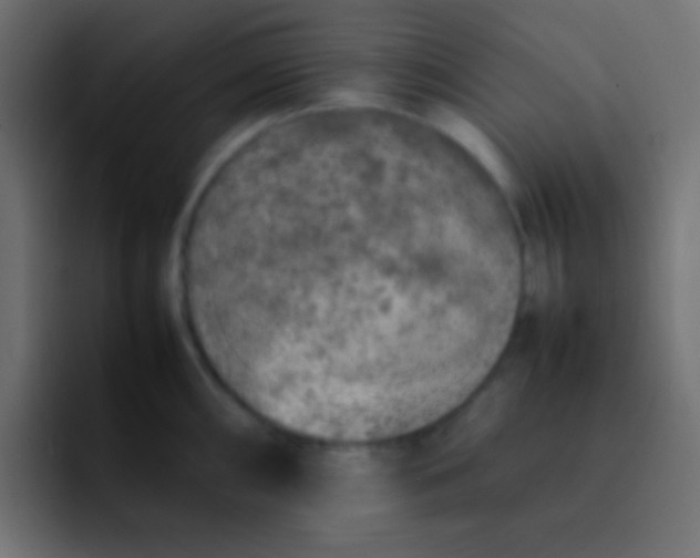 X0000092101098200710031208