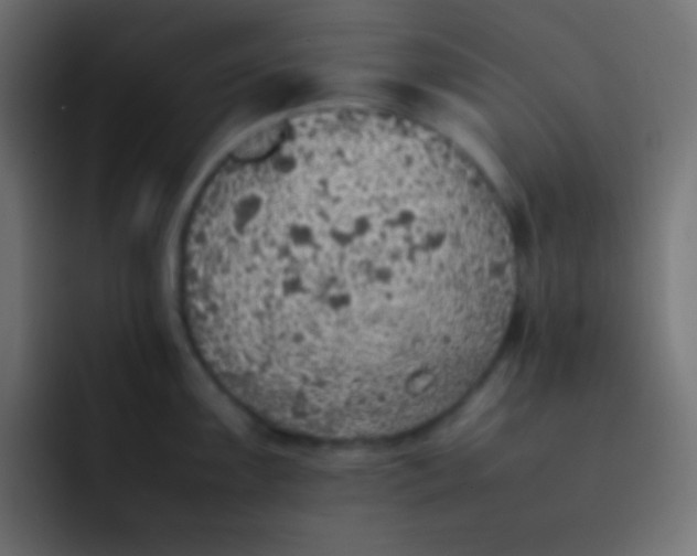 X0000092101099200710031208