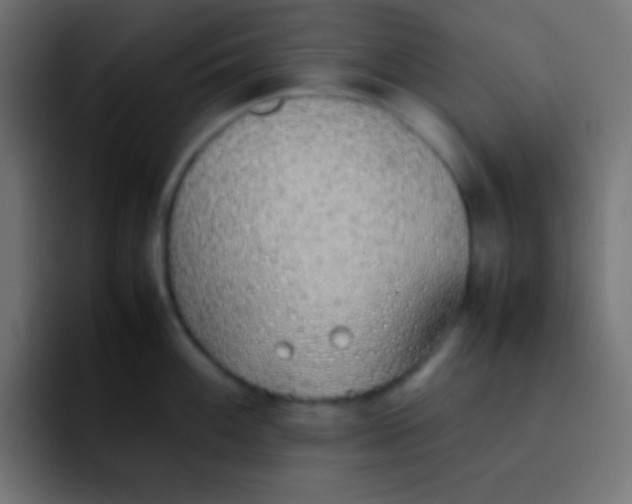 X0000092101100200710031208