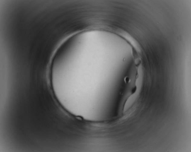 X0000092101102200710031208