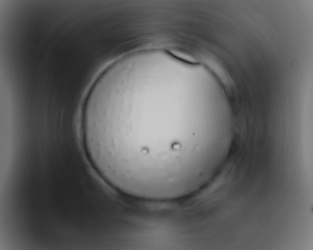 X0000092101103200710031208