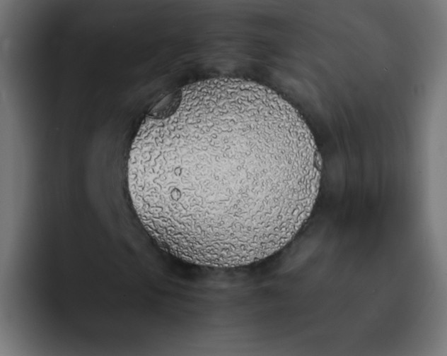 X0000092101105200710031207