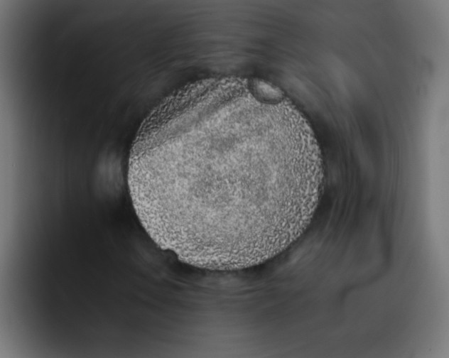 X0000092101106200710031207