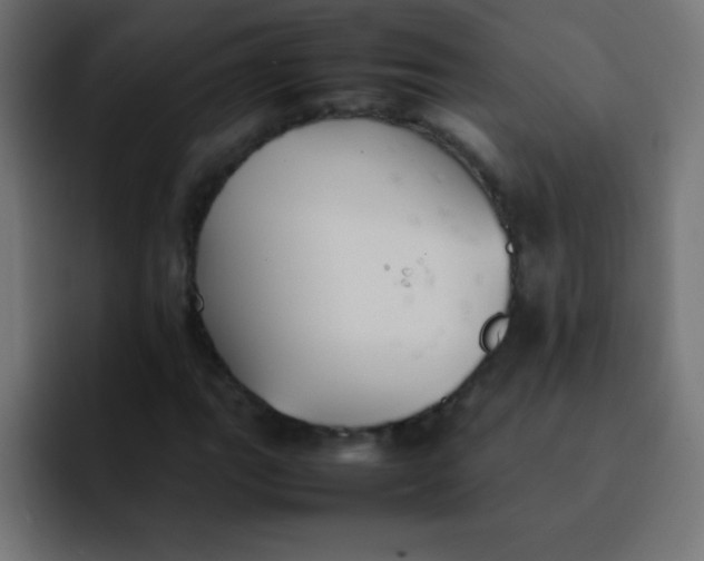 X0000092101111200710031207