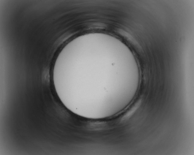 X0000092101113200710031207