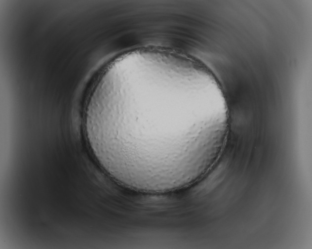 X0000092101115200710031207