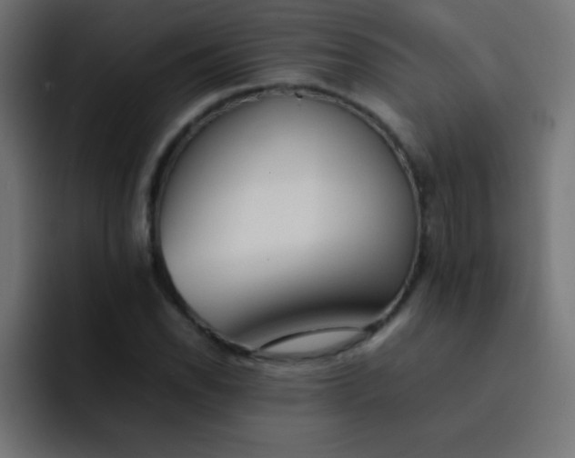 X0000092101118200710031207