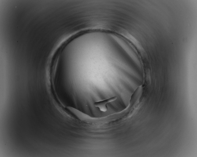 X0000092101120200710031207