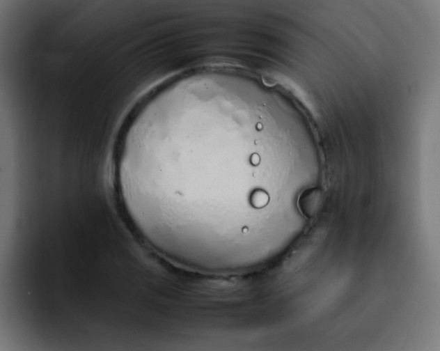 X0000092101125200710031207