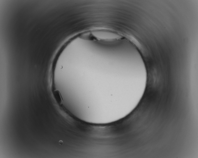 X0000092101132200710031207