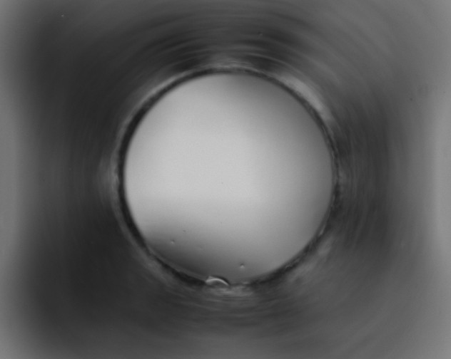 X0000092101133200710031207